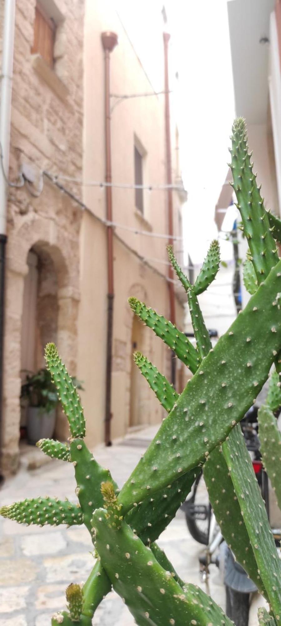 Villa La Follia Dell'Architetto Bari Exterior foto